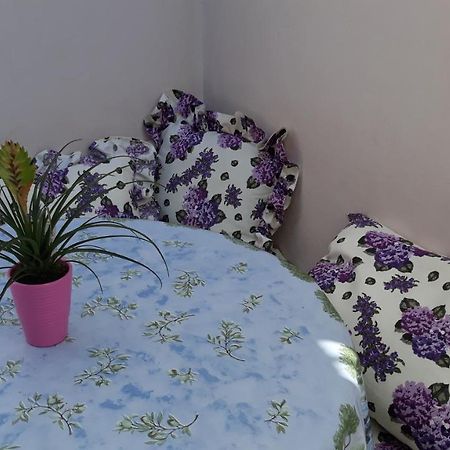 Mini Apartment Petra - Rooms Purple & Green With Kitchen And Garden Дубровник Экстерьер фото